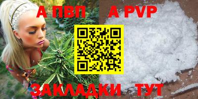 индика Гай