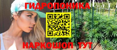 индика Гай
