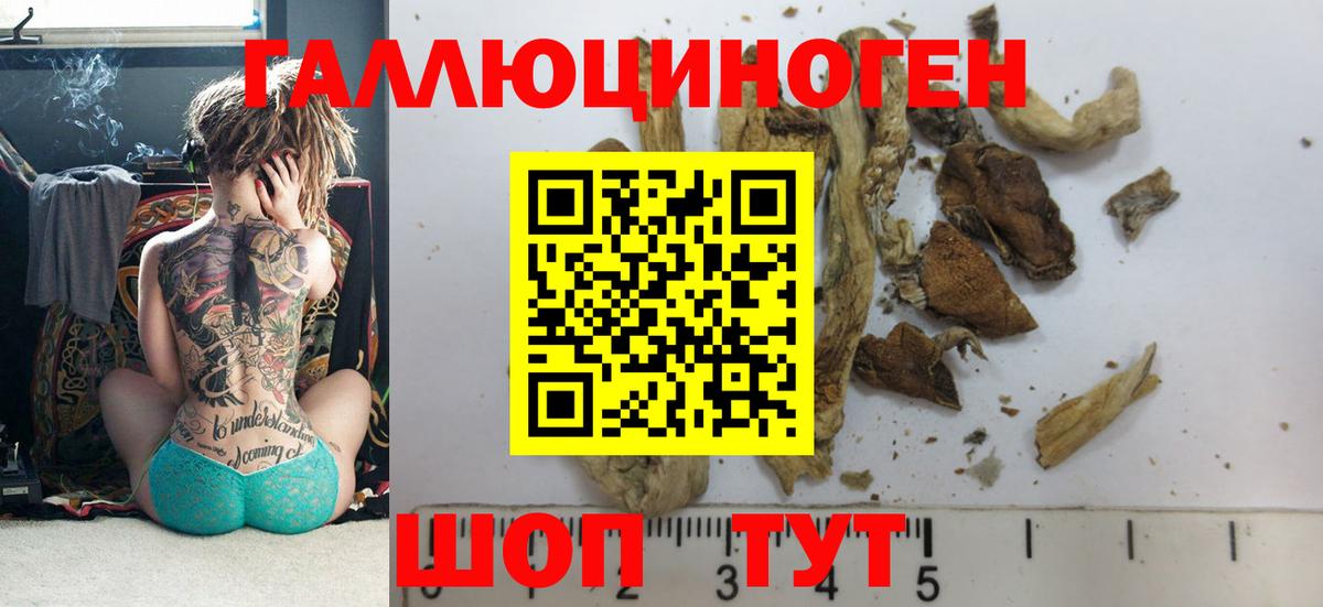 Галлюциногенные грибы мицелий Братск